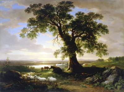 The Solitary Oak by Asher Brown Durand